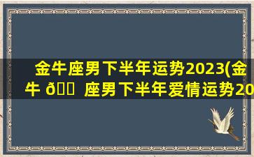 金牛座男下半年运势2023(金牛 🐠 座男下半年爱情运势2021)